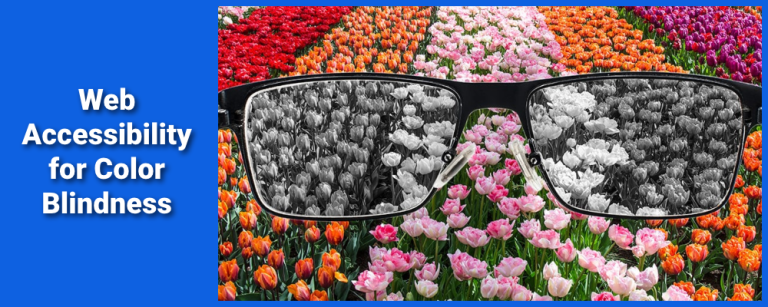 Color Blind Accessibility